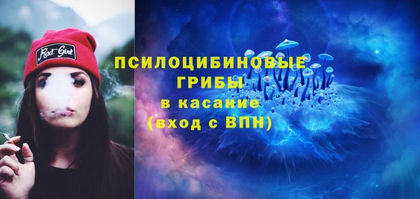 гидра Алзамай